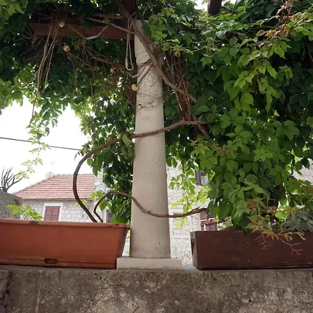 Appartement Muco Varos *