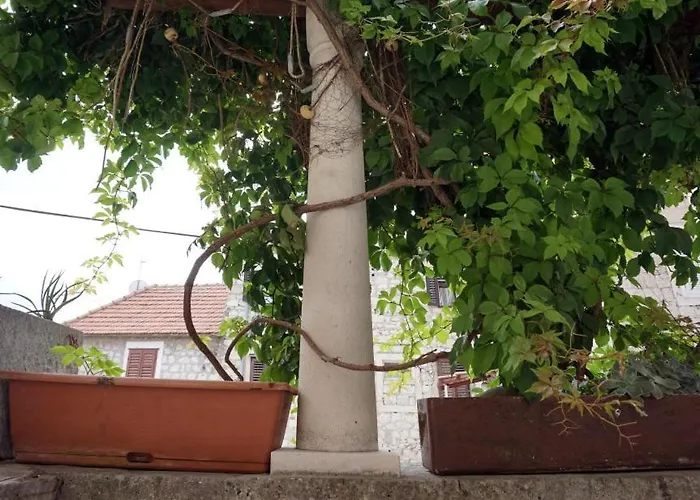 Apartamento Muco Varos *